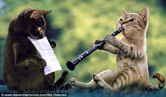 If you can teach your pets to play swing music for you to help out, by all means go for it.