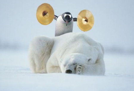 The penguin represents my conscience telling me I need to blog more.